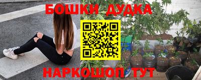 молекула духа Лесосибирск