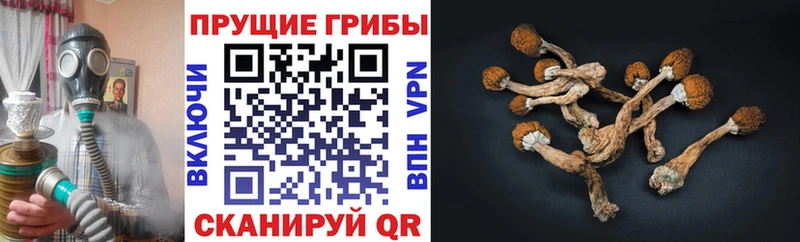 закладка  Уфа  ссылка на мегу онион  Галлюциногенные грибы прущие грибы 