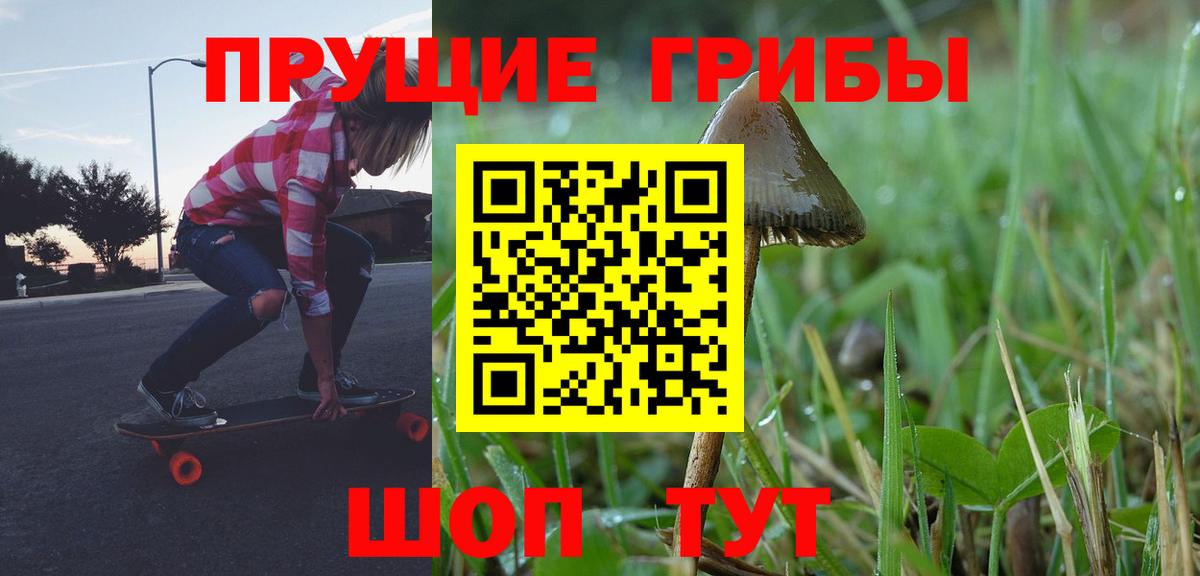 Уфа  Псилоцибиновые грибы MAGIC MUSHROOMS  Вход с VPN 